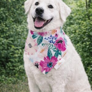 Smiling white dog with colorful floral bandana