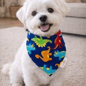 Smiling white dog in dinosaur print bandana
