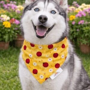 Smiling blue-eyed husky in yellow bandana