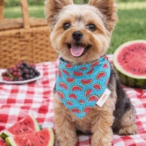 Happy dog in watermelon bandana at picnic