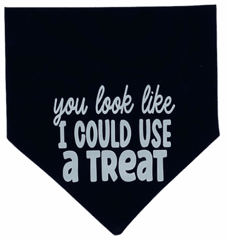 Black bandana with white text saying "you look like I could use a treat."