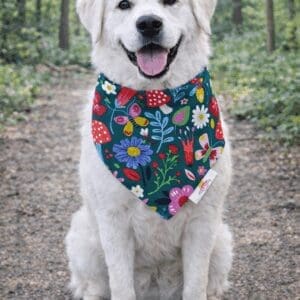 Smiling white dog with floral bandana